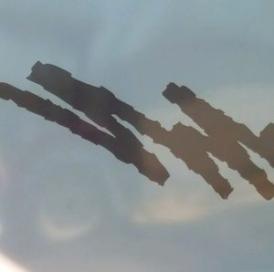 Meet your Posher, Bailey